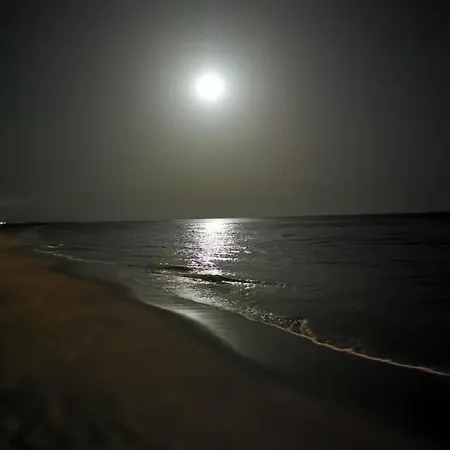 Playa Mirar In Palm Garden Apartament