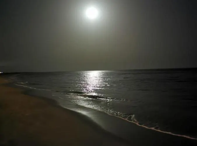 Playa Mirar In Palm Garden דירה