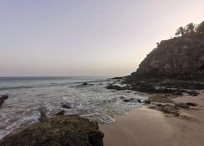 Playa Mirar In Palm Garden