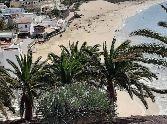 Playa Mirar In Palm Garden