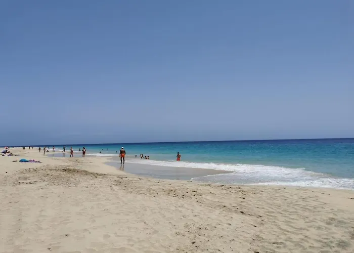 Playa Mirar In Palm Garden *