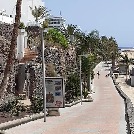 Playa Mirar In Palm Garden