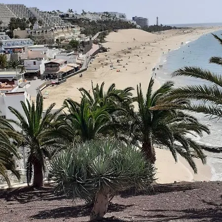Playa Mirar In Palm Garden